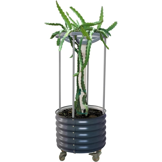 Vego garden Dragon Fruit Self-Watering Rolling Planter-Modern Gray