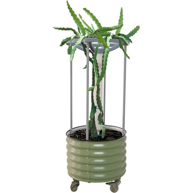 Vego garden Dragon Fruit Self-Watering Rolling Planter-Olive Green